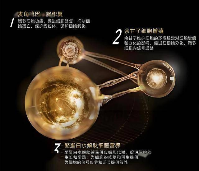 红十字应急救护百万培训八闽行在三明开展
